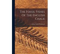 The Fossil Fishes Of The English Chalk