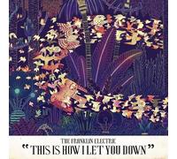 The Franklin Electric - This Is How I Let You Down [VINYL]