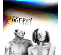 THE FRONT BOTTOMS - GOING GREY CD NEW