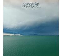 Modest Mouse - The Fruit That Ate Itself [VINYL]