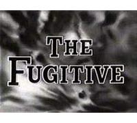 The Fugitive, Volume 8: Home Is The Hunted/The Survivors [VHS]