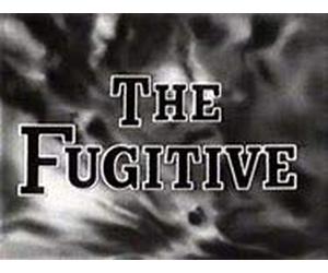 The Fugitive, Volume 8: Home Is The Hunted/The Survivors [VHS]