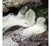 The Fugitives - Everything Will Happen [VINYL]