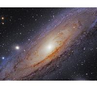 The Fundamental Science