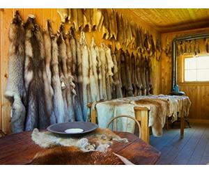 The Fur Trade and the Mountain Men