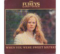 The Fureys & Davey Arthur - When You Were Sweet Sixteen