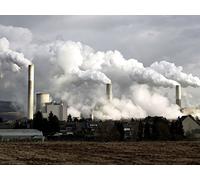 The Future of Terrestrial Life