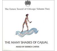 The Future Sound of Chicago, Vol. 2: The Many Shades of Cajual by Various