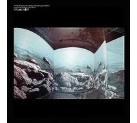 The Future Sound Of London - Environment 6.5 [VINYL]