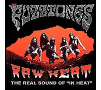 The Fuzztones : Raw Heat: The Real Sound of 'In Heat' VINYL 12" Album (2020)