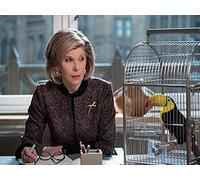 The Gang is Satirized and Doesn't Like It