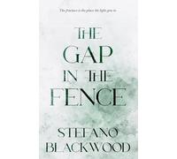 The Gap in the Fence: The fracture is the place the light gets in