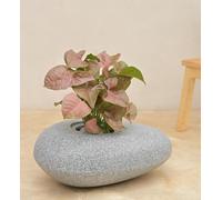 The Garden Mantra Pebble Planter Indoor Outdoor Real Pebble Stone Feel & Finish (Grey Stone & Medium Size 16Inch X 10Inch X 6Inch)