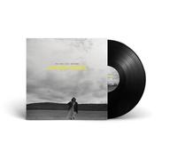 THE GASLIGHT ANTHEM - HISTORY BOOKS [VINYL]