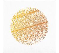 The Gathering - Beautiful Distortion [VINYL]