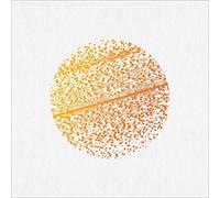 The Gathering - Beautiful Distortion [VINYL]