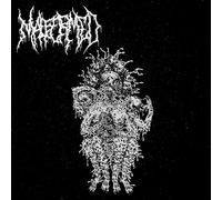 The Gathering Of Souls [VINYL]