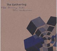 The Gathering - TG25 Diving Into The Unknown