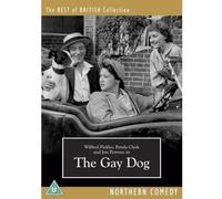 The Gay Dog [DVD] (1954)