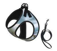 The Gaze Of A Polar Bear Dog Harness - Breathable, Reflective, And Adjustable Pet Vest, Suitable For Small Cats And Dogs