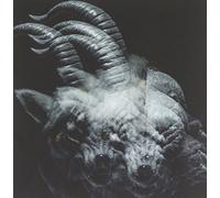 the GazettE - BEAUTIFUL DEFORMITY[Import]