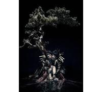 The Gazette - The Gazette Live Tour 12-13 (Division) Final Melt Live At 03.10 Saitama Super Arena [Japan DVD] SRBL-1582