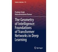 The Geometry of Intelligence: Foundations of Transformer Networks in Deep Learning (Studies in Big Data, 175)