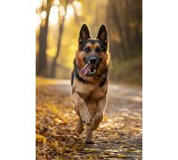The German Shepherd Notebook: A Premium Dotted Journal: Part of The Noble Breed Collection by Ronan Ashworth | 6x9, 160 Pages for Dog Lovers, Thinkers, and Dreamers