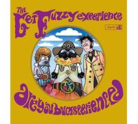 The Get Fuzzy Experience: 4