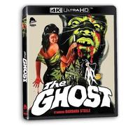 The Ghost (STD 4K + Blu-ray)