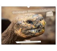 The giant tortoises of the Galapagos Islands UK-Version (Wall Calendar 2026 DIN A3 Landscape), CALVENDO 12 Month Wall Calendar