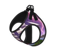 The Giant Wheel Under Lightning Dog Harness - Equipped with Reflective Straps and Quick Release Buckles - Suitable for Small Cats and Dogs