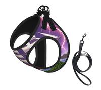 The Giant Wheel Under Lightning Dog Harness - Equipped with Reflective Straps and Quick Release Buckles - Suitable for Small Cats and Dogs