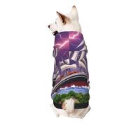 The Giant Wheel Under Lightning Dog Hoodie â€“ Soft & Breathable Polyester Pet Clothes for Small, Medium, and Large Dogs