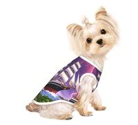 The Giant Wheel Under Lightning Small Dog Shirt,Soft Breathable Dog Shirt for Dogs Cats Boy Girl Pet Tshirt,Suitable for Small Pets