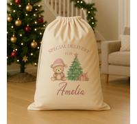 The Gift Project PERSONALISED Special Delivery For.. Pink Teddy - Christmas Santa Sack