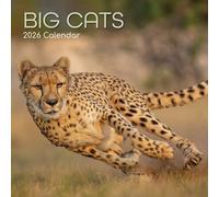 The Gifted Stationary 2026 Square Wall Calendar, Big Cats, 16-Month Animals Theme Hanging Calendar with 180 Reminder Stickers, Month Planner for Home, or Creative Spaces, 12x12 In