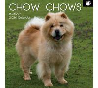 The Gifted Stationary 2026 Square Wall Calendar, Chow Chow, 16-Month Animals Theme Hanging Calendar with 180 Reminder Stickers, Month Planner for Home, or Creative Spaces, 12x12 In