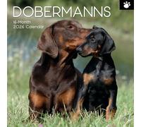The Gifted Stationary 2026 Square Wall Calendar, Dobermans, 16-Month Paw Prints Theme Hanging Calendar with 180 Reminder Stickers, Month Planner for Home, or Creative Spaces, 12x12 In