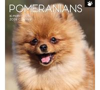 The Gifted Stationary 2026 Square Wall Calendar, Pomeranian, 16-Month Animals Theme Hanging Calendar with 180 Reminder Stickers, Month Planner for Home, or Creative Spaces, 12x12 In