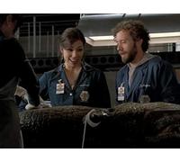 The Girl in the Gator