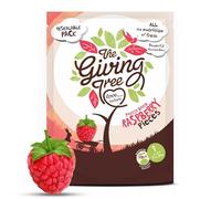 The Giving Tree Freeze Dried Raspberry Peices | 100% Natural Raspberries | Non-GMO, Gluten Free, Vegan Nutritional Snacks 100g Bag