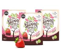 The Giving Tree Freeze Dried Strawberry Slices | 100% Natural strawberries | Non-GMO, Gluten Free, Vegan Nutritional Crisps 100g Bag Pack of 3 (300g Total)