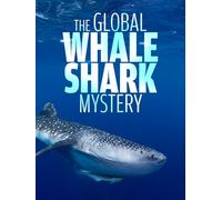 The Global Whale Shark Mystery