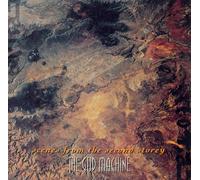 The God Machine – Scenes From The Second Storey – Vinyl 2LP 12" (2025)