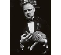 The Godfather "Cat" Canvas Print, Cotton, Multi-Colour, 3.20 x 60.00 x 80.00 cm