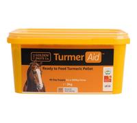 The Golden Paste Co. TurmerAid™ for Horses 2kg - 2kg Tub