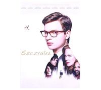 The Goldfinch [DVD] (English audio)