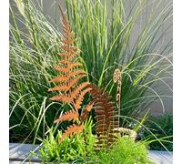 The Good Life 3 x Core-ten Rusty Patina Metal Ferns in Different Shapes 25-41cm Garden Decor Flowers