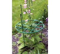 The Good Life Treadstone 40Cm Garden Plant Support Hoops - Pack Of 12 - Green Plastic Rings For Borders & Pots